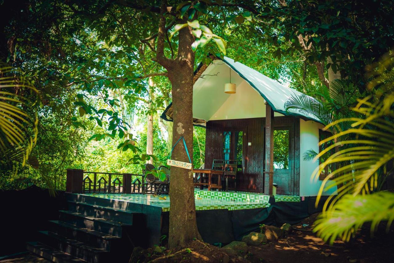 La La Land Resort Goa By Spicy Mango Palolem Εξωτερικό φωτογραφία